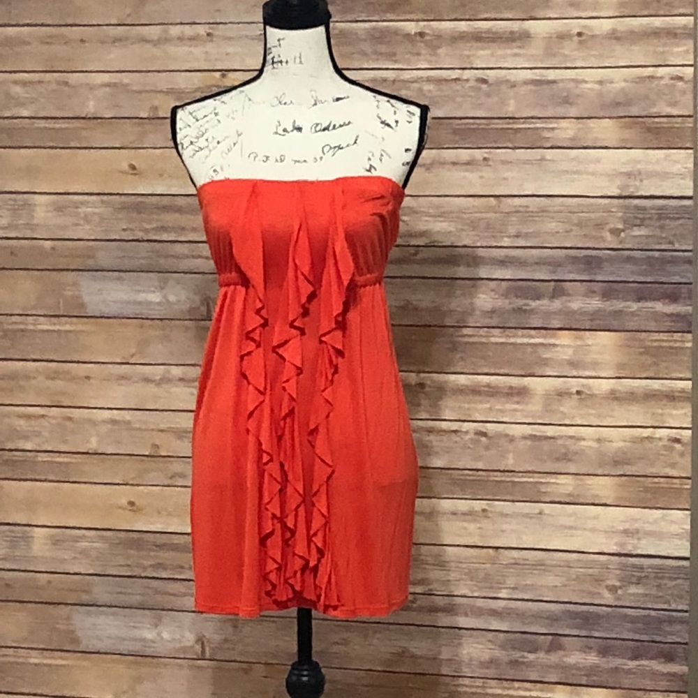 Daytrip for the Buckle strapless ruffle dress-NWT